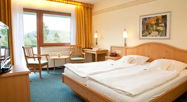 Двухместный номер Standard с балконом и с красивым видом из окна Wald Hotel Willingen