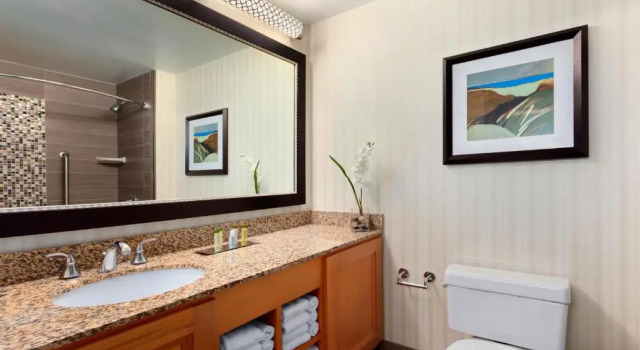 Четырёхместный люкс c 1 комнатой DoubleTree Suites by Hilton Orlando at Disney Springs