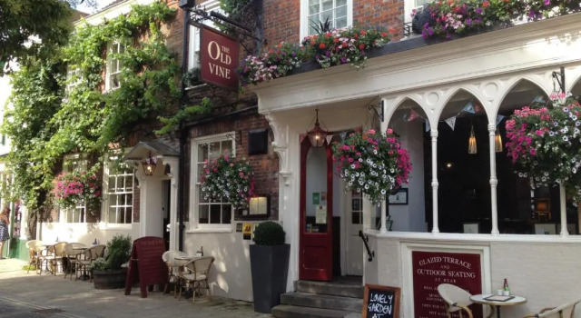 The Old Vine