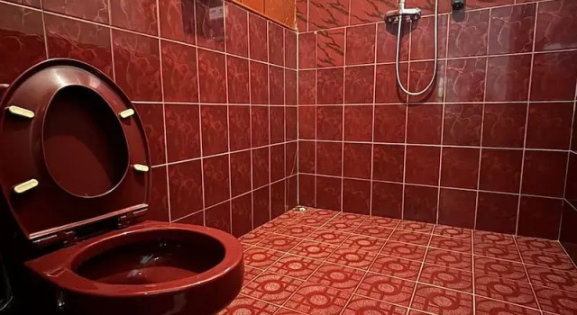 Номер Standard Satwa Elephant Ecolodge