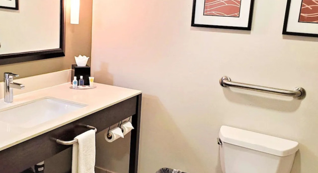 Четырёхместный семейный люкс Comfort Inn & Suites Near Universal - N Hollywood - Burbank