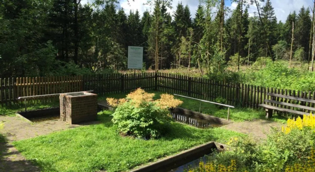 Апартаменты Hahnenklee Ferienpark 136