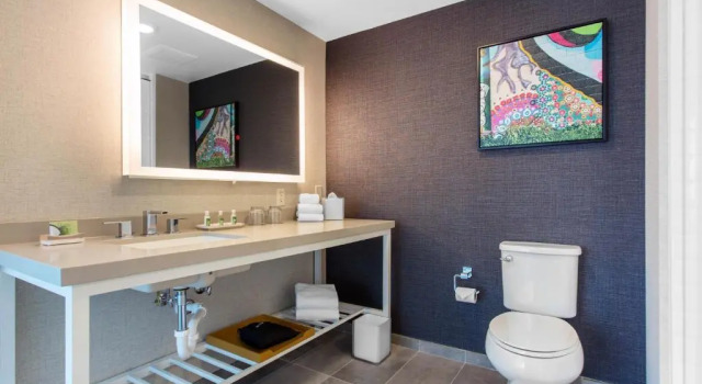 Номер Standard с видом на горы Cambria Hotel Downtown Asheville