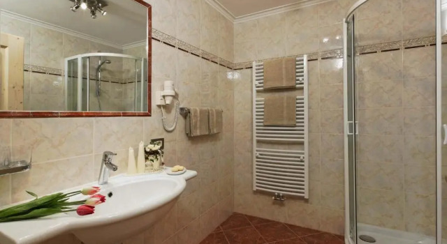 Апартаменты Superior Alpin Apartments Colfosco