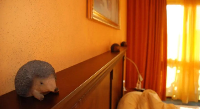 Номер Standard Hotel Hirsch