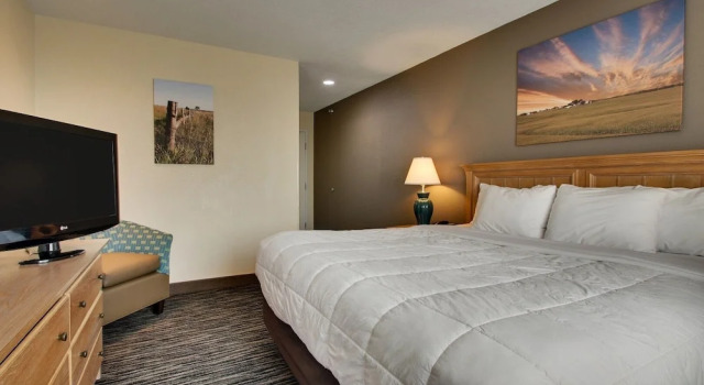 Двухместный люкс EverSpring Inn & Suites