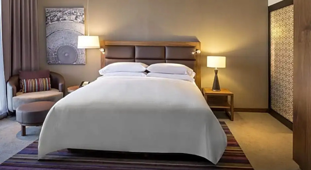 Номер Deluxe Fiesta Americana Mexico Toreo