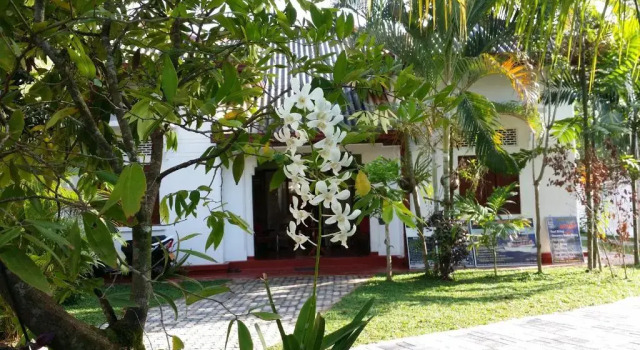 Tithira Guest House