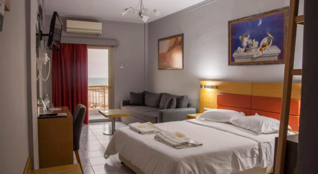 Двухместный номер Standard Hotel Erika