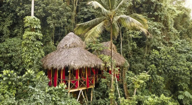 Люкс Dominican Tree House Village