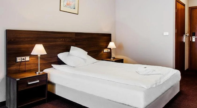 Hotel Viki