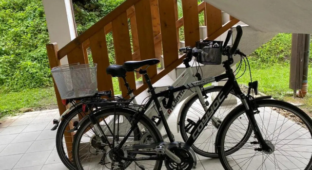 Апартаменты Geschmackvolles Appartement am Donauradweg