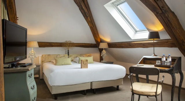 Номер Economy c 1 комнатой Château de Courban and Spa Nuxe
