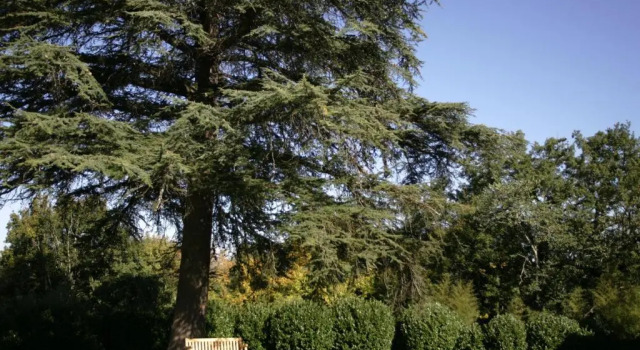 Апартаменты Gîtes du Château Mont dOnel
