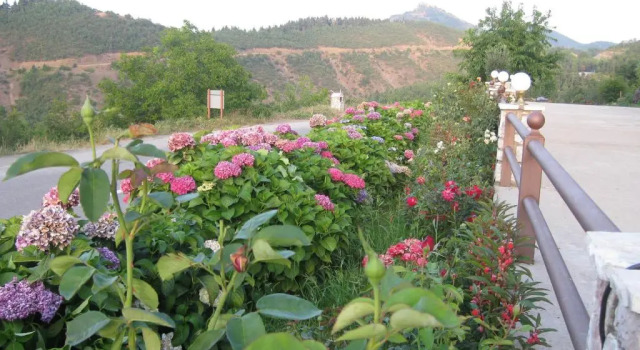 Guesthouse Moucha, Book Hotel  