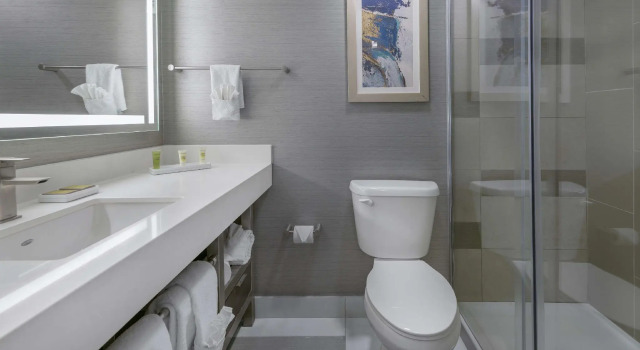 Двухместный номер Premium Hilton College Station & Conference Center