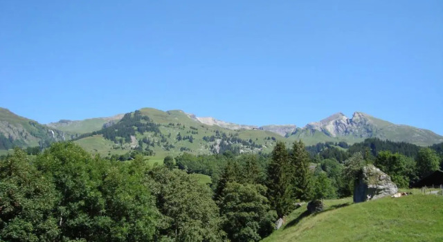 Двухместный номер Standard Hotel Wetterhorn
