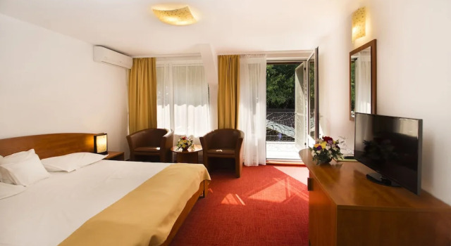 Двухместный номер Standard с балконом Hotel Herastrau