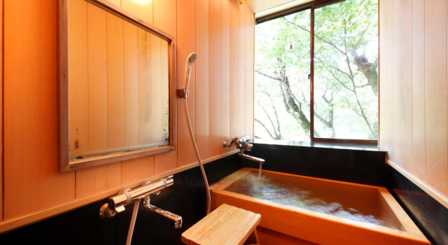 Одноместный номер Standard Yugawara Ohnoya Ryokan