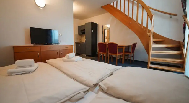 Номер Standard Hotel Sonnenhof - Tante ALMA`s Sommerfrische
