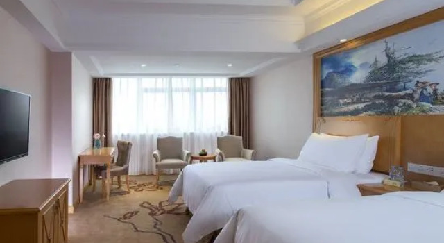 Люкс Deluxe Vienna Hotel (Foshan Lishui Diyicheng)