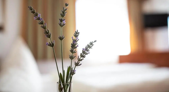 Студия Ferienhotel Bergland