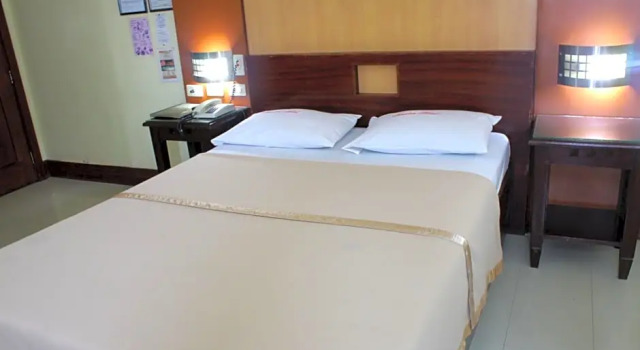 Двухместный номер Standard New Winston Hotel