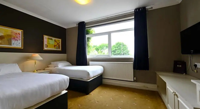 Номер Standard Birch Hotel
