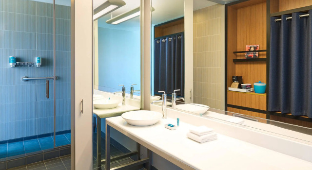 Двухместный номер Standard Aloft by Marriott Las Colinas