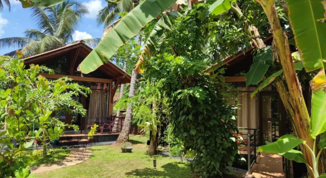 Люкс Mango Tree House