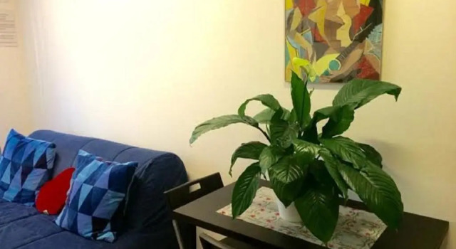 Lo Studio Guest House, Забронировать Гостевой дом Отели Рима с завтраком, рядом с Гастрономический центр Eataly Roma, Завтраки
