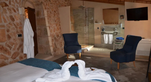 Номер Premium Agroturismo Petit Hotel Son Perdiu