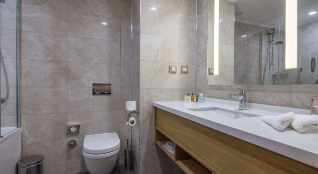 Двухместный номер Standard Hilton Garden Inn Safranbolu