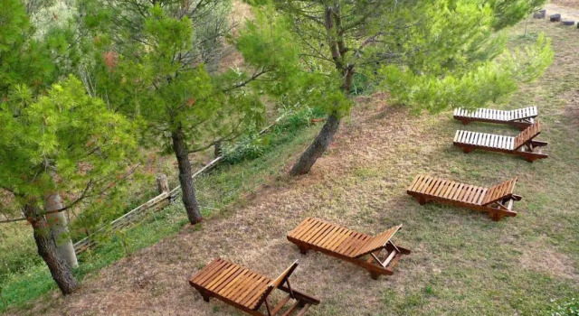 Апартаменты Casa Rondini, organic farm
