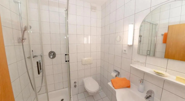Habitación individual Estándar Hotel Schwartze