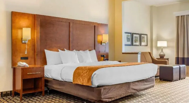 Номер Standard Comfort Inn Summerville - Charleston