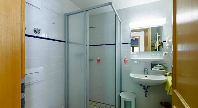 Двухместный номер Standard Alphotel Ettal
