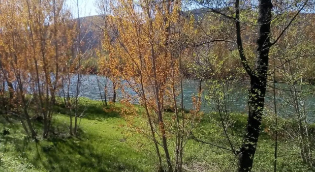 Коттедж La Casa Sul Fiume