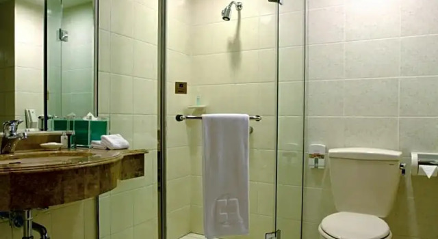 Двухместный номер Superior Chateau De Chine Hotel Taoyuan