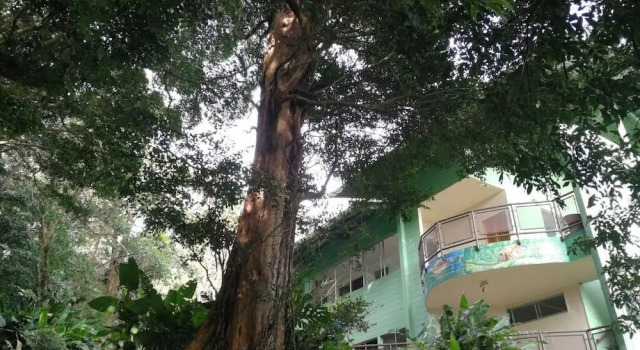 La Casa de la Montaña B&B, Rezervovat Penzión se snídaní Hotely v Puntarenas s parkováním, Parkování