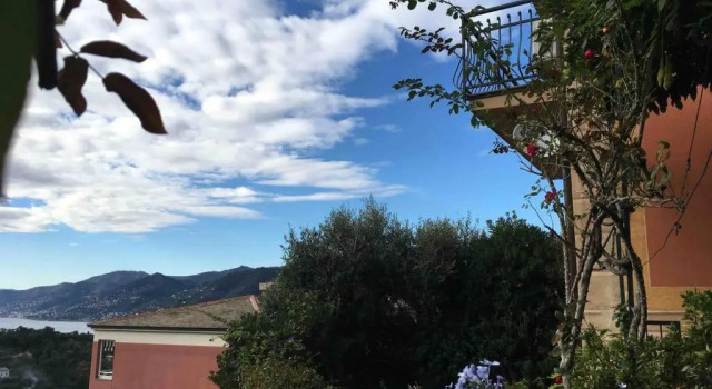See view apartment next to the Portofino Park