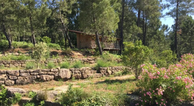 Номер Standard Auberge de la Tour de Brison