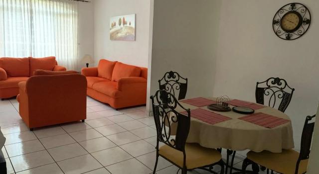 Room 4 rent