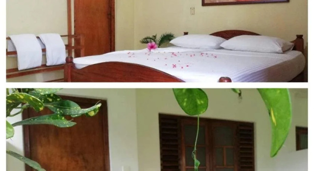 Palm Garden Tourist Guest House