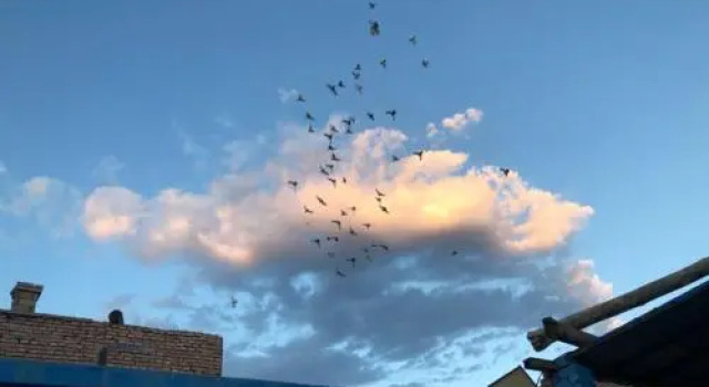 Class 2 Year 3, Book Hotel Hotels in Xinjiang with Parking, Parking