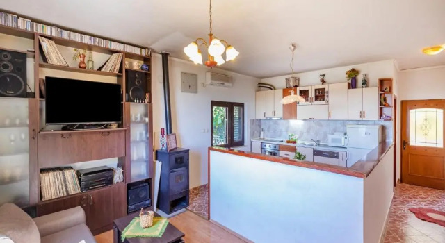 Apartment Mileta