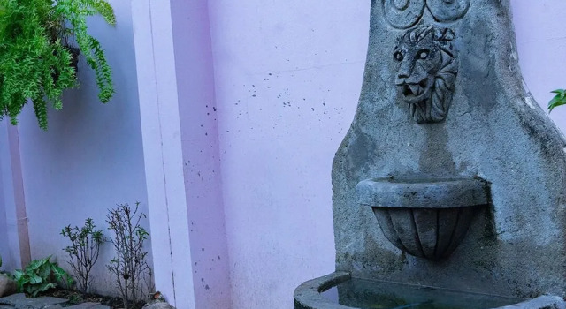 Кровать в общем номере Hostal Casa Luna