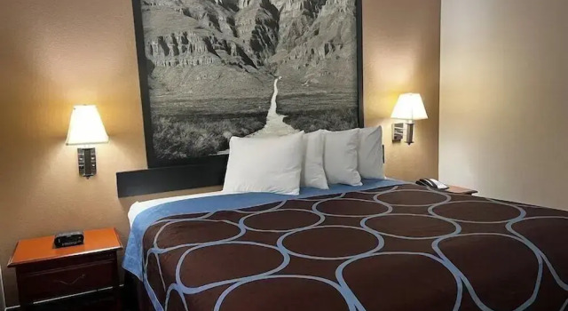 Номер Deluxe Hotel Piney Woods