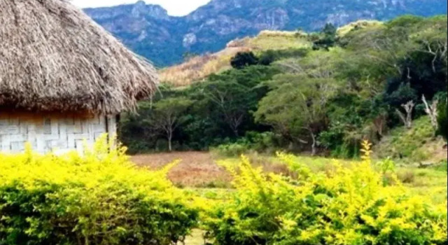Nalesutale Village Lodges
