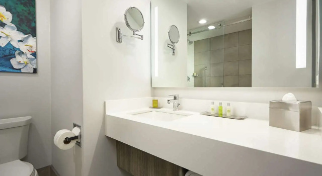 Двухместный номер Standard DoubleTree by Hilton Managua